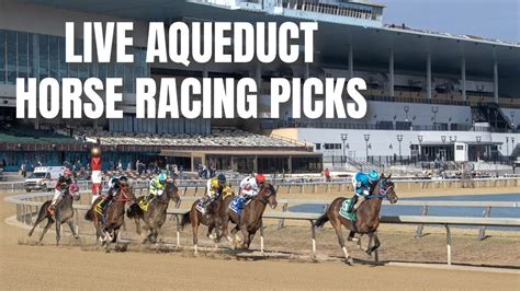 aqueduct horse racing|aqueduct website.